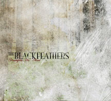 The Black Feathers